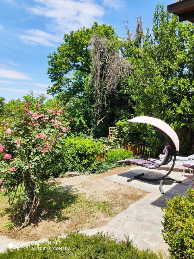 Un Giardino Sul Lago Montefiascone Exterior photo