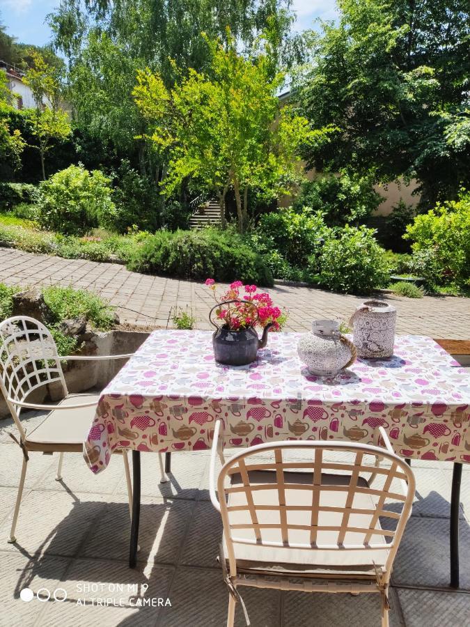 Un Giardino Sul Lago Montefiascone Exterior photo