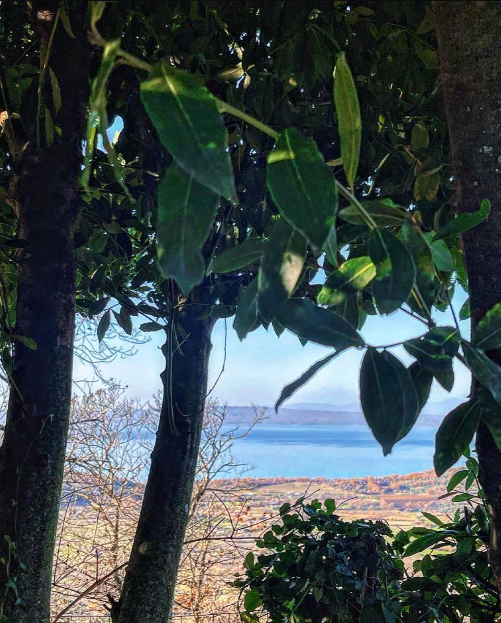 Un Giardino Sul Lago Montefiascone Exterior photo